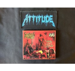 Cardiac Arrest - Haven For The Insane (Slipcase) - Nacional