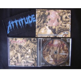 Carnal Lust - Whore of Violence - Importado