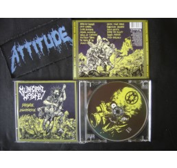 Municipal Waste - Massive Aggressive - Importado