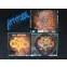 Axel Rudi Pell - The Ballads VI - Importado