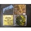 Imago Mortis - Vida : the Play of Change - Nacional